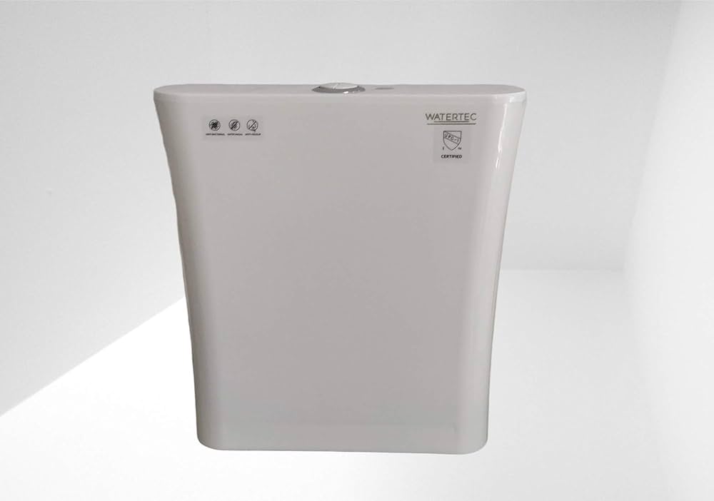 Regal Dual Flush Cistern WATERTEC
