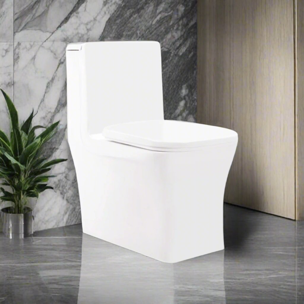 Onepiece Commode Leela (Kerovit by KAJARIA)