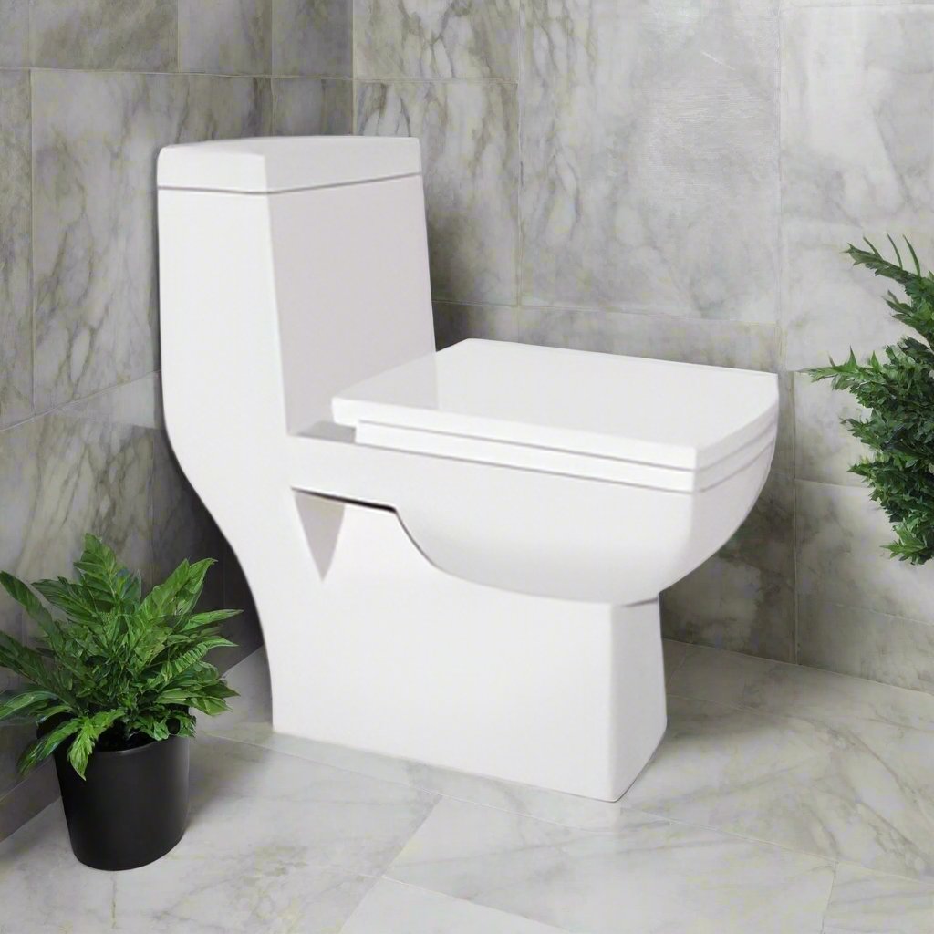 Onepiece Commode Arianna (Kerovit by KAJARIA)