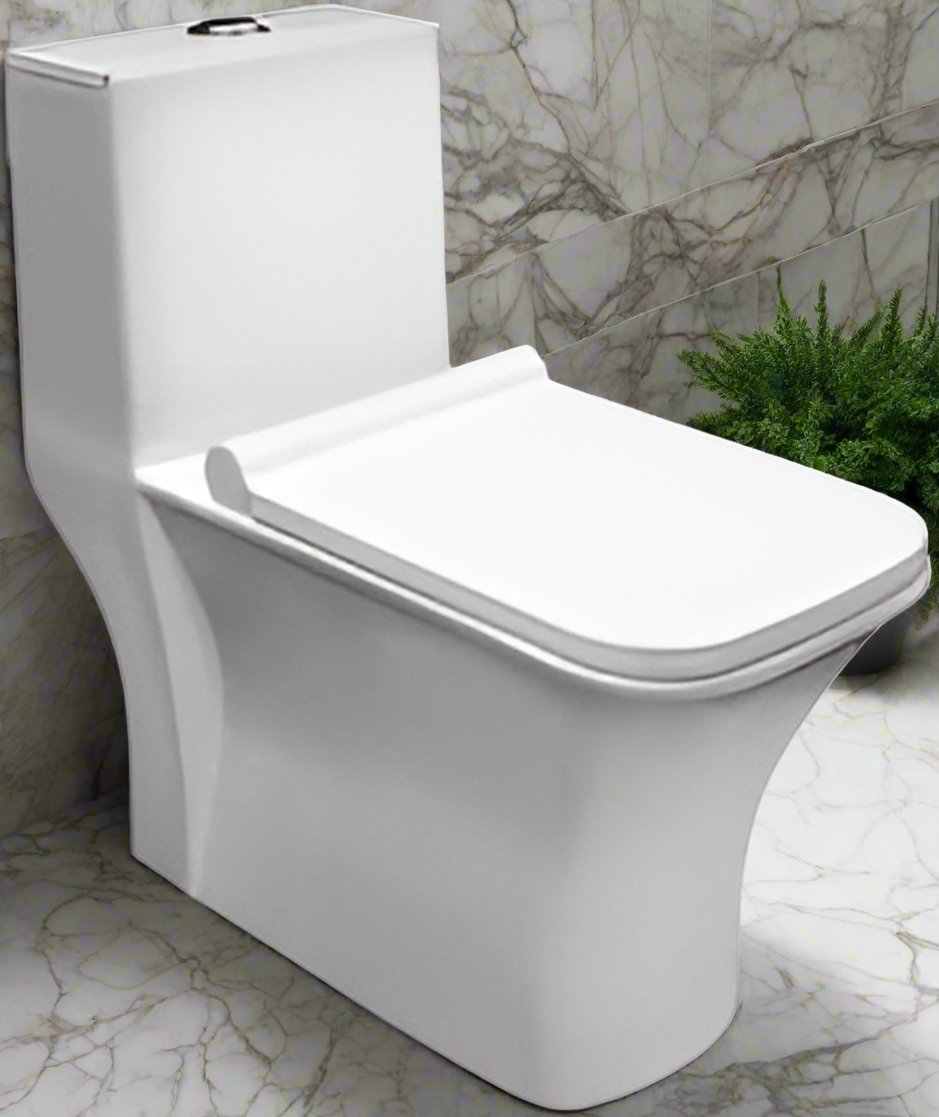 Onepiece Commode Aster (PARRYWARE)